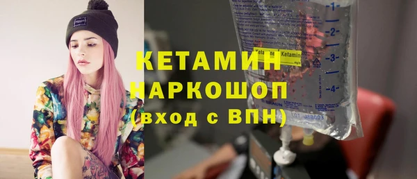 прущие грибы Лабытнанги