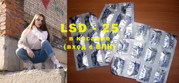 прущие грибы Лабытнанги