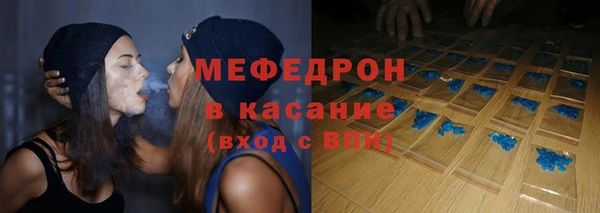 прущие грибы Лабытнанги