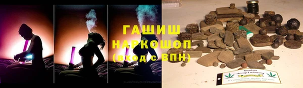 прущие грибы Лабытнанги