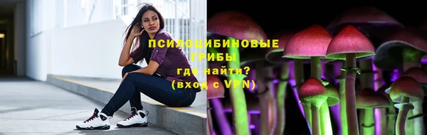 прущие грибы Лабытнанги