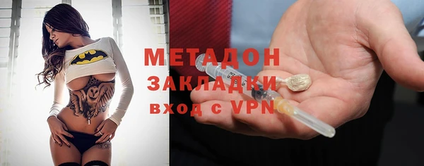 прущие грибы Лабытнанги
