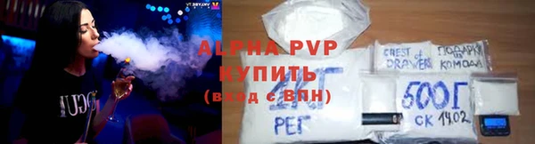 прущие грибы Лабытнанги