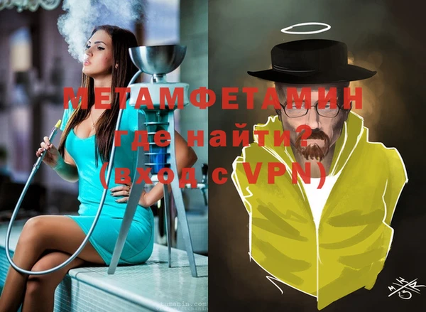 прущие грибы Лабытнанги