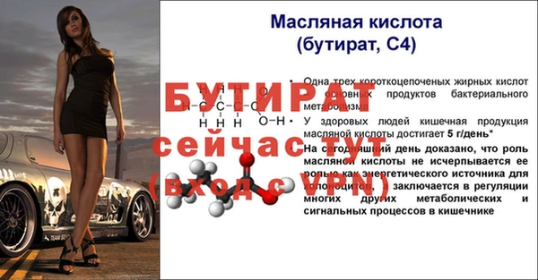 прущие грибы Лабытнанги
