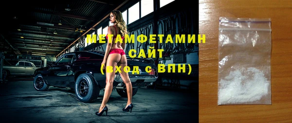 прущие грибы Лабытнанги