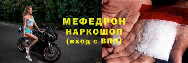 прущие грибы Лабытнанги