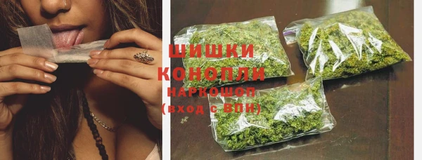 прущие грибы Лабытнанги