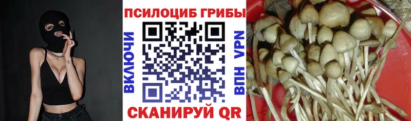 Купить закладки  Заполярный  Галлюциногенные грибы Cubensis 